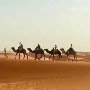 Trekking Desert